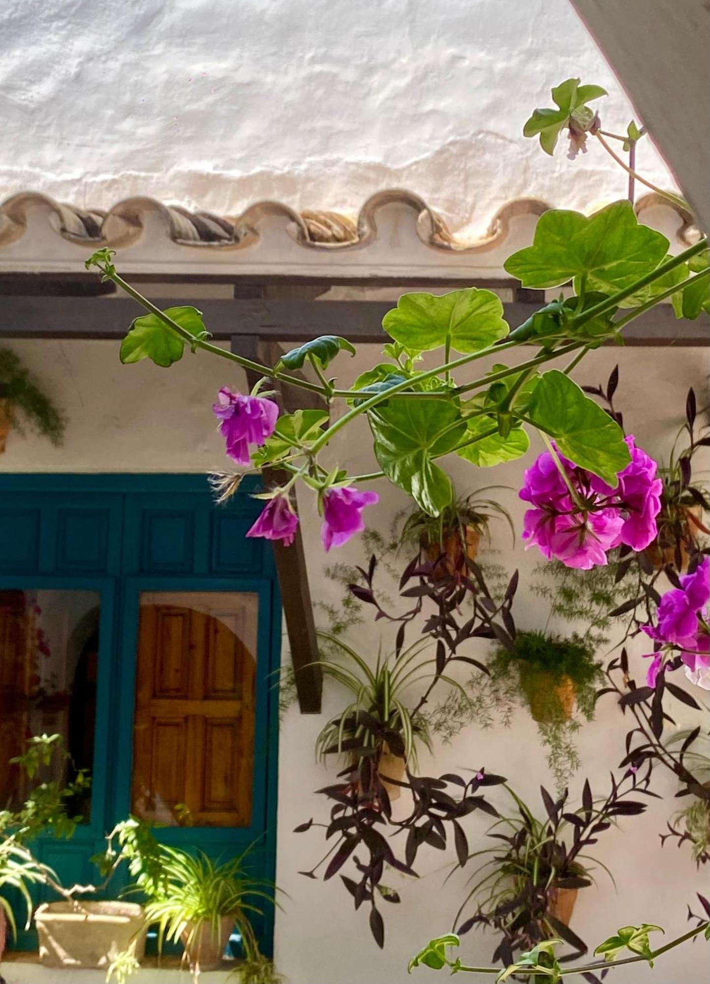 La Buganvilla De Santiago Кордова Экстерьер фото