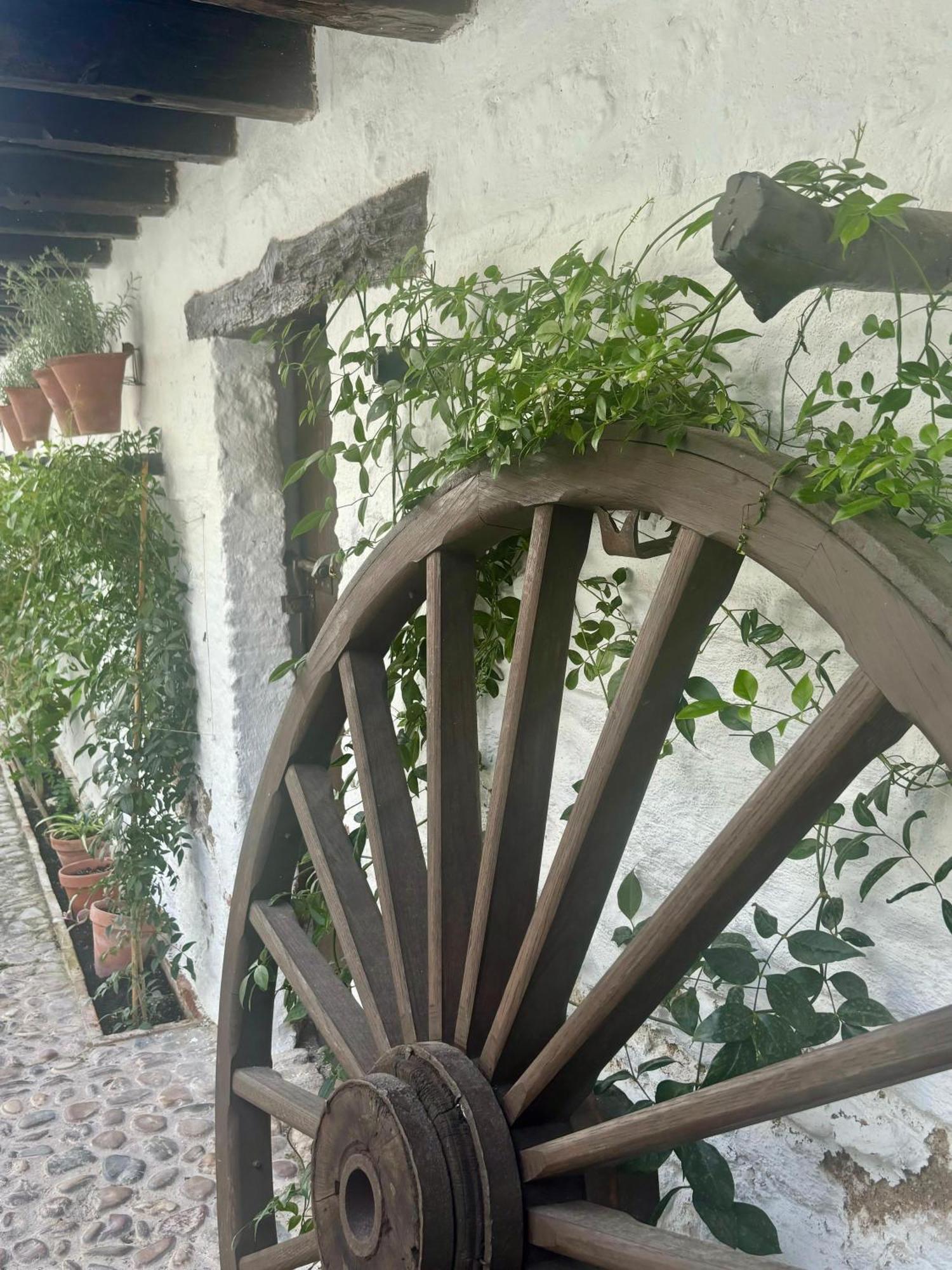 La Buganvilla De Santiago Кордова Экстерьер фото